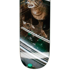 Bodega Cat [8.375]