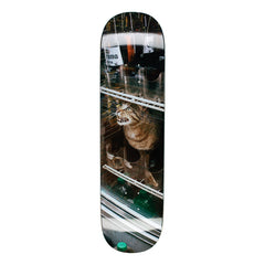Bodega Cat [8.375]